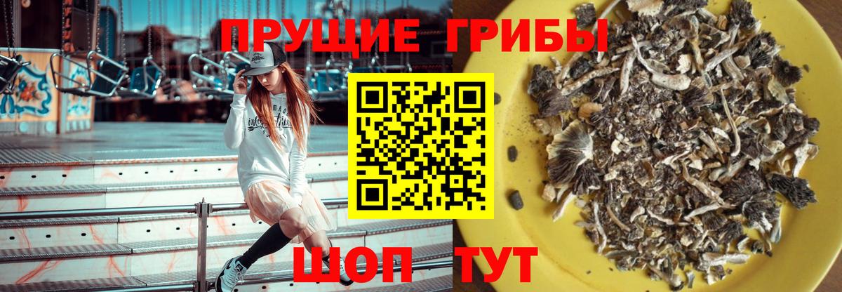 Рязань  Галлюциногенные грибы мухоморы  Вход с VPN  Галлюциногенные грибы мухоморы 